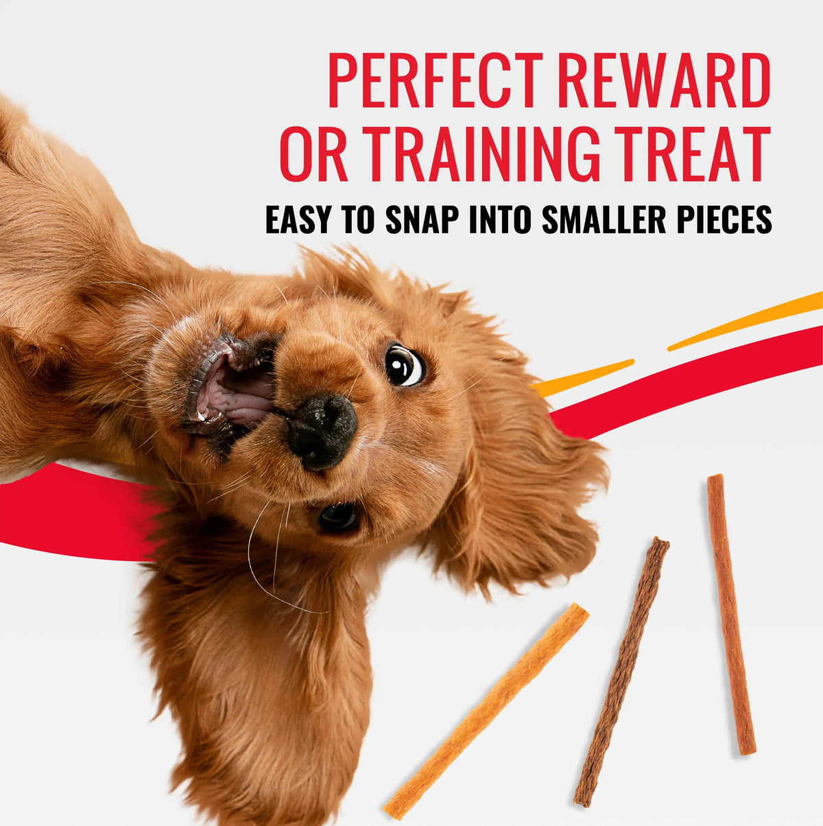 Good 'N' Tasty Protein Dog Treat Variety Pack – 4 Bag Bundle with 2 Protein Strips, Soft & Crunchy & Snap 'Ems
